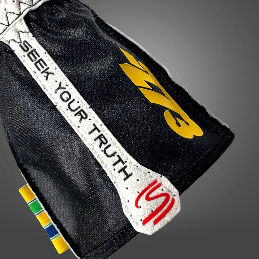 273 x AYRTON SENNA Gloves Black