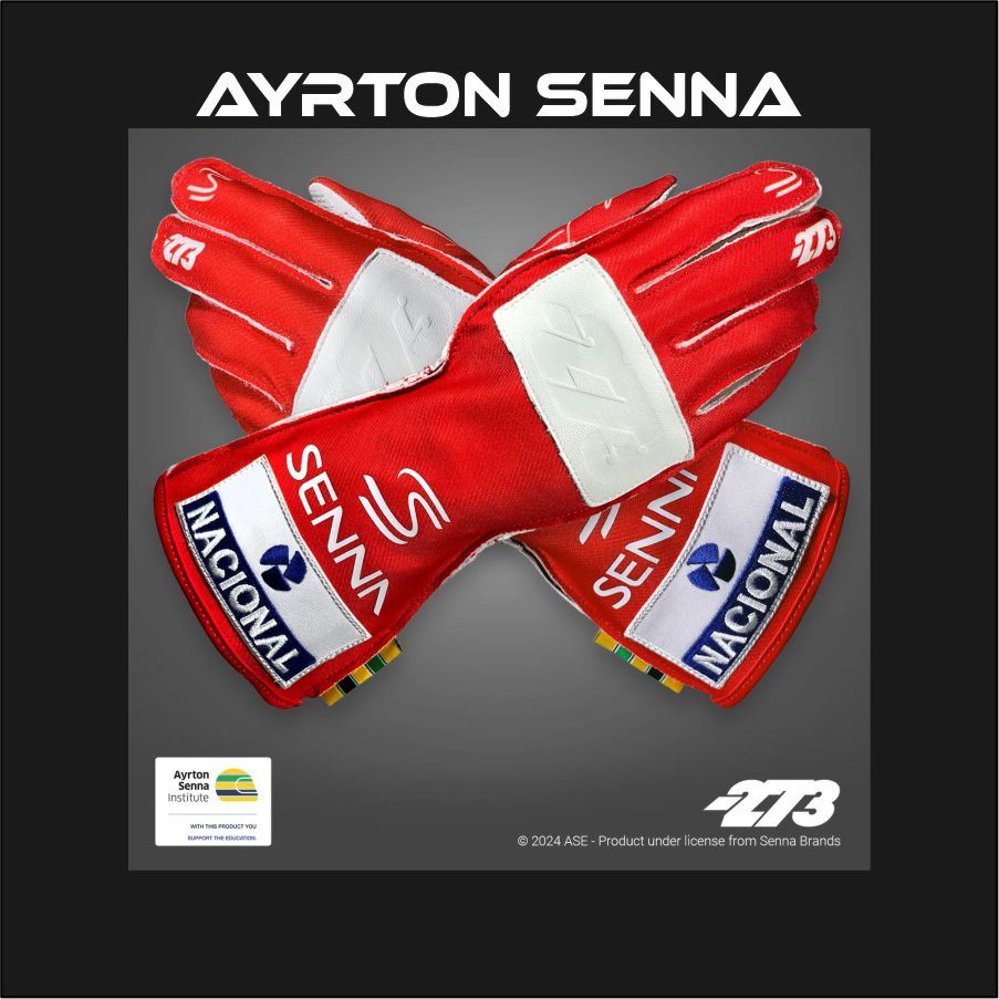 273 x AYRTON SENNA Gloves Red
